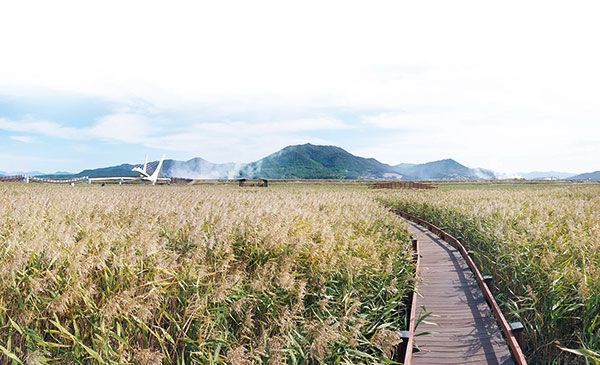 강진만 생태공원